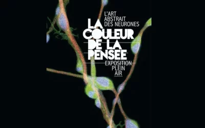 La couleur de la pensée