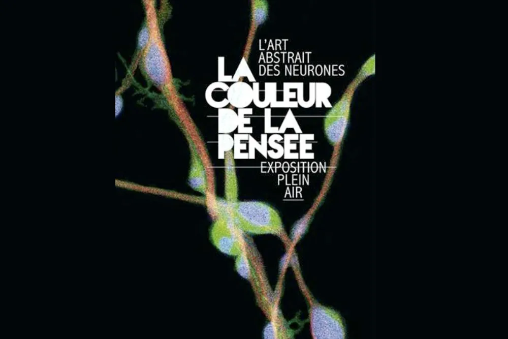 La couleur de la pensée