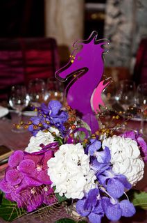 Soirée de soutien Monaco 2012